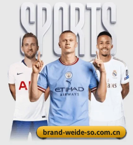 伟德体育五大内容板块,覆盖赛事直播与实时比分 | WEIDE SPORTS